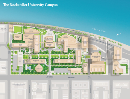 The Rockefeller Univeristy map